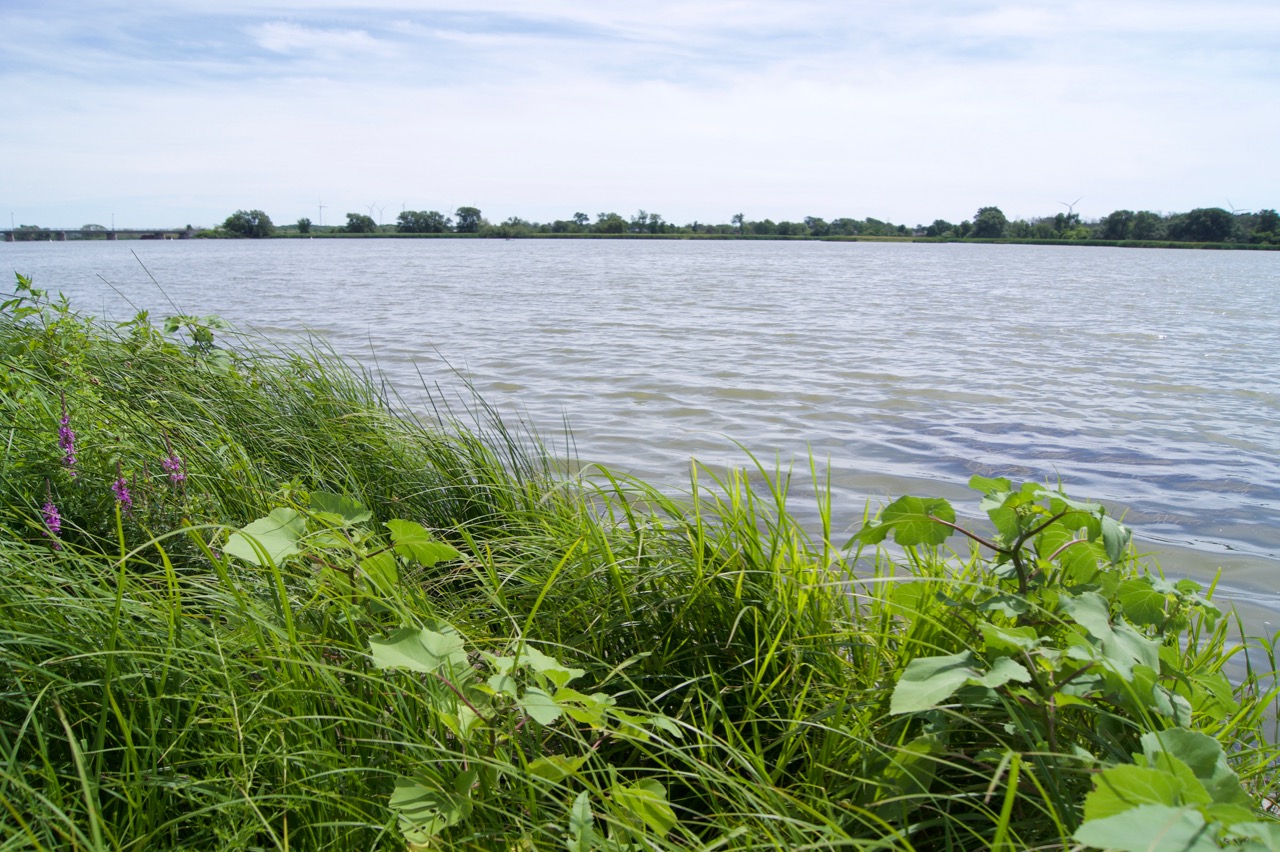 The Grand River widens at Dunnville