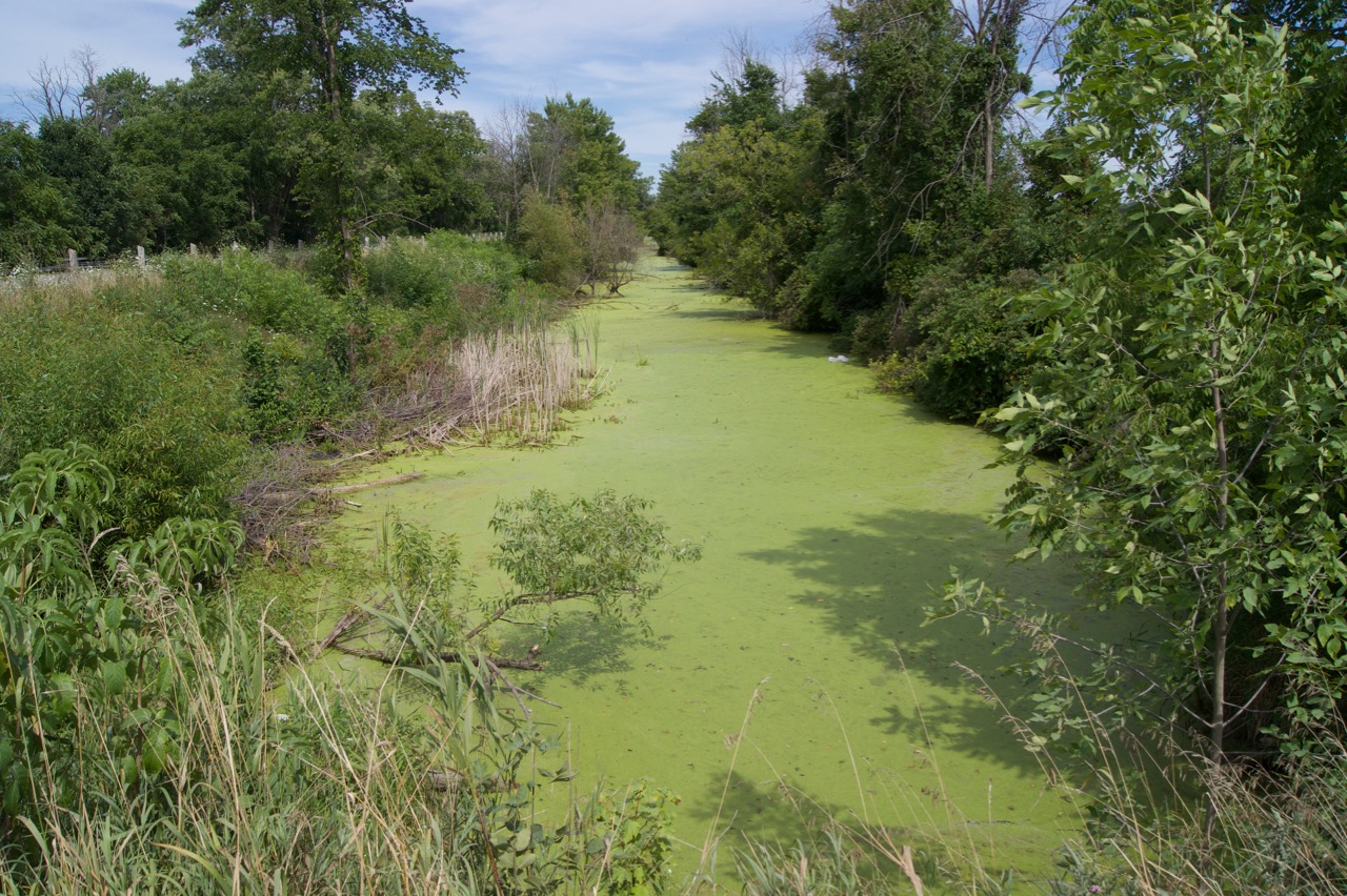 A feeder canal supplied water to be the Welland Canal system